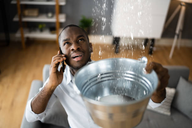 Best 24/7 water damage repair  in Groveton, VA