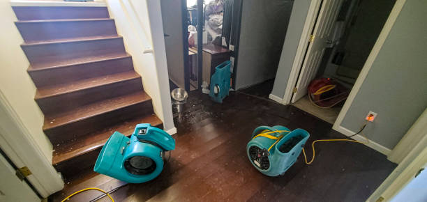 Best Ceiling water damage repair  in Groveton, VA
