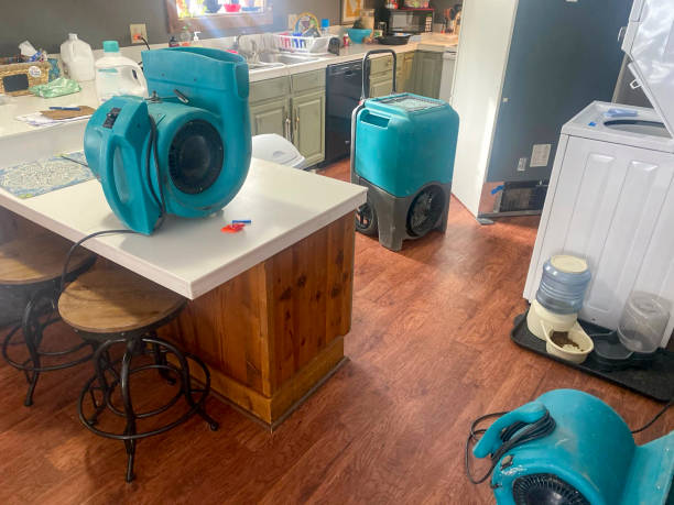 Best Water damage repair service  in Groveton, VA