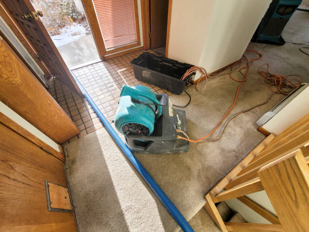 Best Local water damage restoration  in Groveton, VA