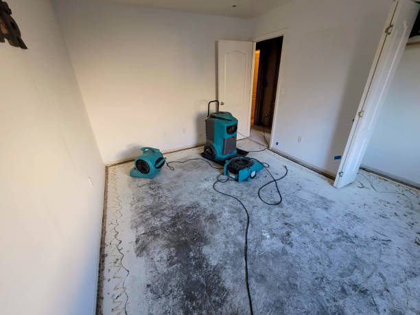 Water damage restoration insurance claims in VA