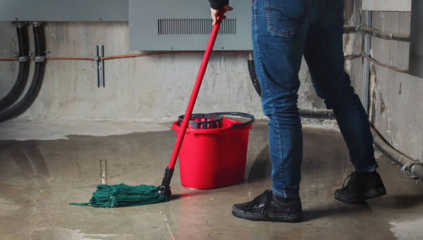 Best Commercial water damage restoration  in Groveton, VA