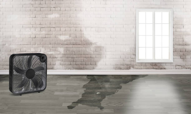Best 24-hour water damage restoration  in Groveton, VA