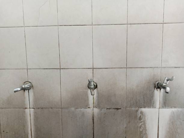 Best Flood restoration services  in Groveton, VA