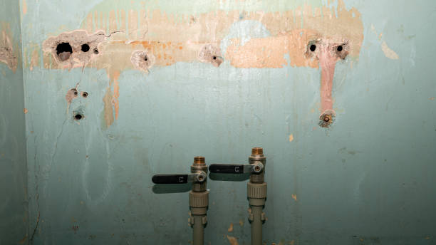 Best Water damage cleanup near me  in Groveton, VA