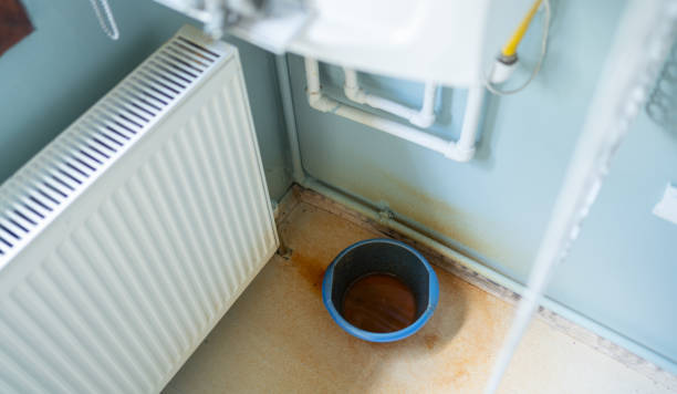 Best Carpet water damage restoration  in Groveton, VA
