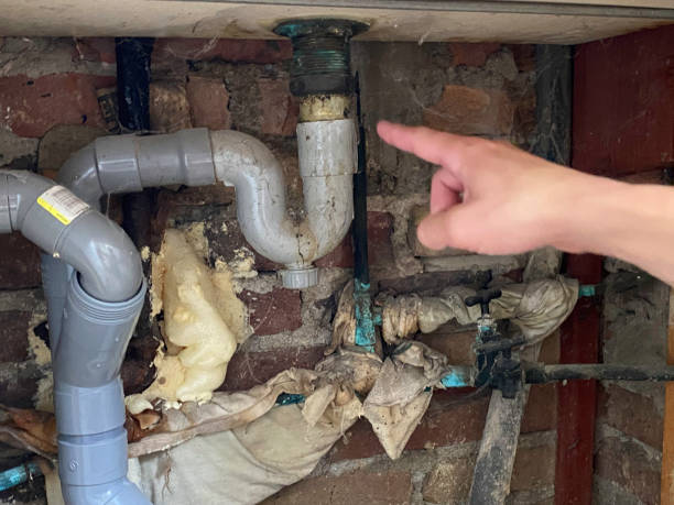 Best Professional water damage repair  in Groveton, VA