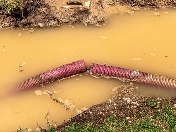 Best Water damage mitigation services  in Groveton, VA