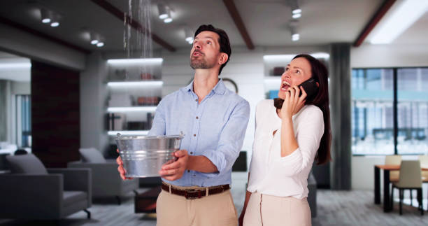 Best Mold removal after water damage  in Groveton, VA