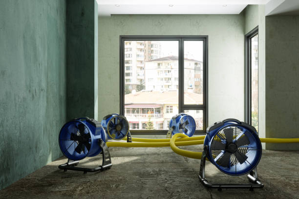 Best Water damage restoration near me  in Groveton, VA